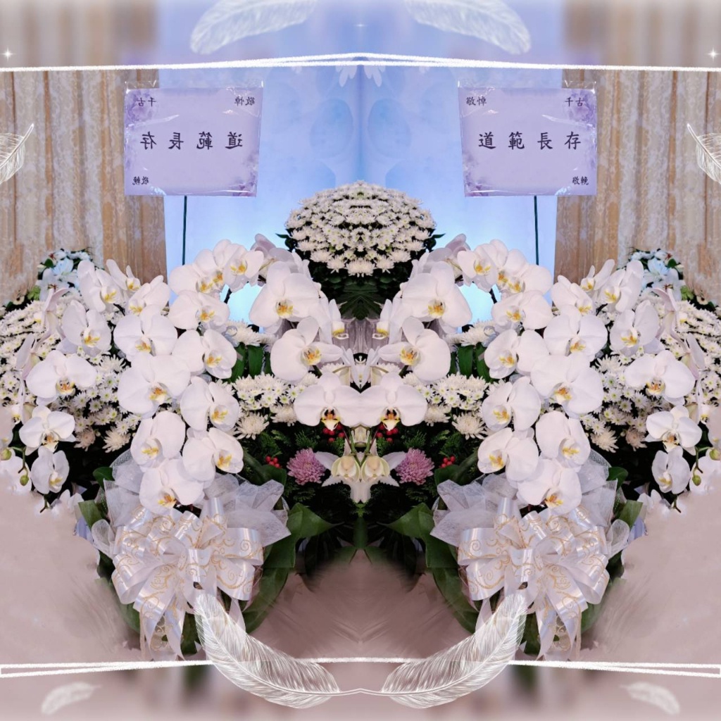 【歐式綠坊花苑】【gtco836】靈堂白色蘭花A+(桌上型/1對2盆)~公祭蘭花,公祭蝴蝶蘭,靈堂蝴蝶蘭,安靈室蝴蝶蘭