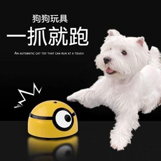 臺灣發貨 小狗狗玩具 貓咪玩具 寵物耐咬自嗨電動解悶神器 模擬玩具 發聲玩具 暴走小小兵 暴走小萌 自動逗貓
