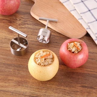 Stainless Steel Fruit Corer Kitchen Fruit Core Remover Tool
