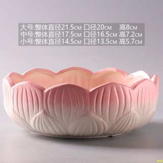 特價清倉 水仙花盆 陶瓷 大號 銅錢草專用 一葉蓮 睡碗蓮 多肉 水培 無孔盆