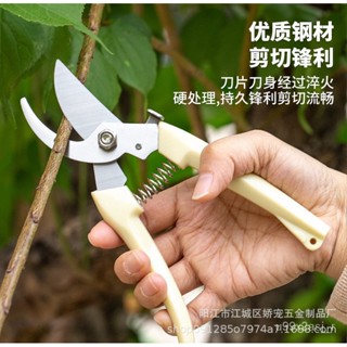 🔥優選熱賣🔥不銹鋼園林修枝剪 摘果剪 園藝多功能果枝剪 花園剪刀 戶外盤景花藝剪 不鏽鋼園藝剪刀 檳榔剪刀 樹枝剪 花剪