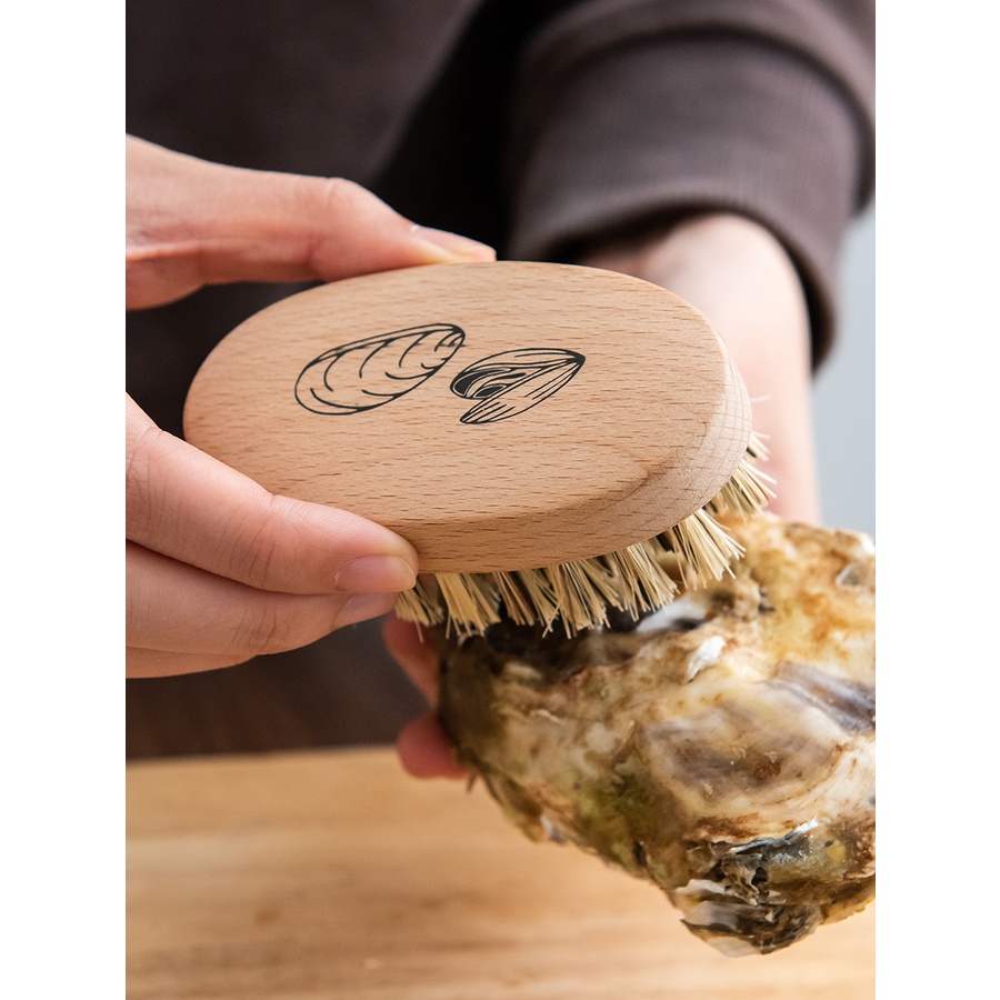 德國Redecker貽貝海鮮清潔刷家用廚房青口貝鮑魚螃蟹殼專用刷子