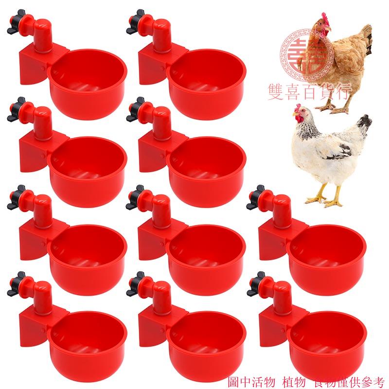 高品質💦【家禽用品】5 / 10個 自動家禽飲水器 碗雞鳥水杯 鴨飲水機 懸掛式飲水機 飲水機