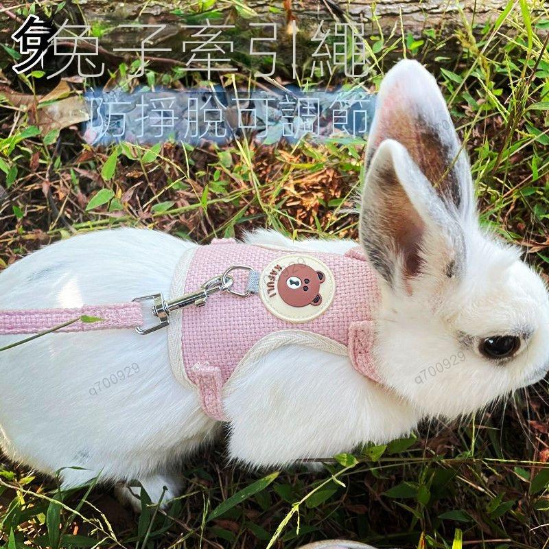 🔥台灣🔥兔子牽引繩 兔兔外出繩 寵物牽引繩 溜兔繩 兔兔牽引繩防掙脫兔兔鏈子背心式牽兔繩子遛兔繩可調節兔子牽引
