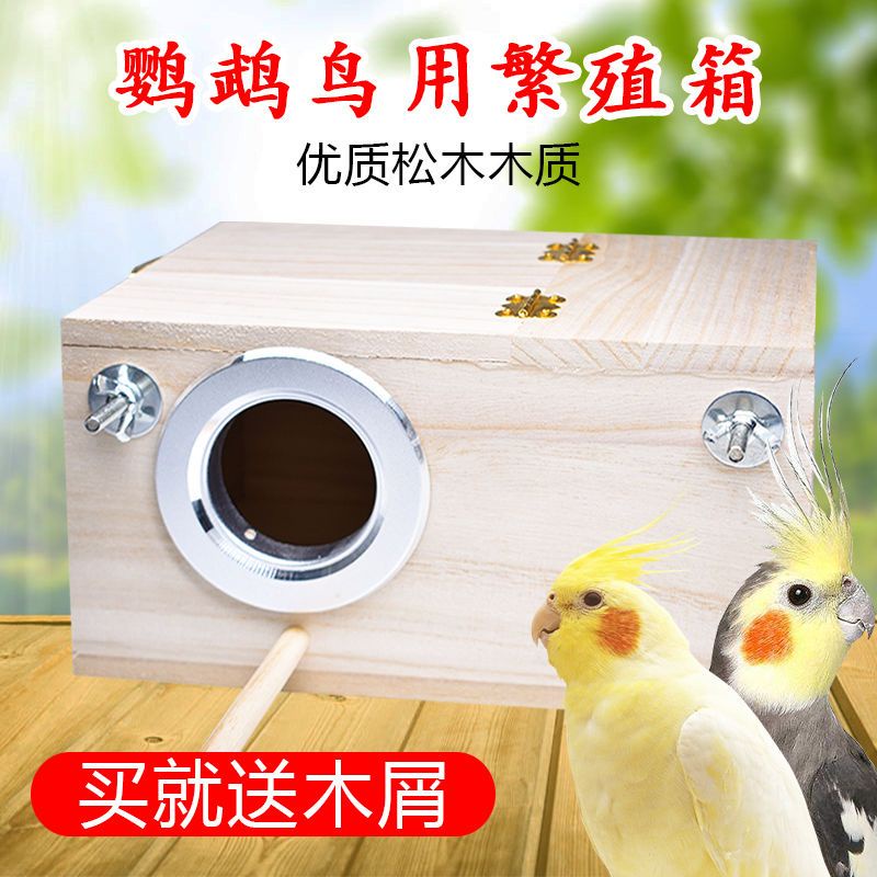 新款玄鳳虎皮牡丹鸚鵡鳥用繁殖箱巢箱鳥窩鳥巢孵化箱豎式保暖鳥籠配件