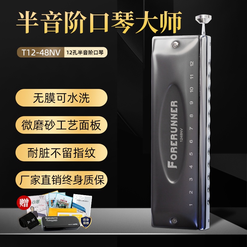 限定東方鼎先行者12孔無膜半音階口琴C調T1248NV學生用入門專業演奏特賣