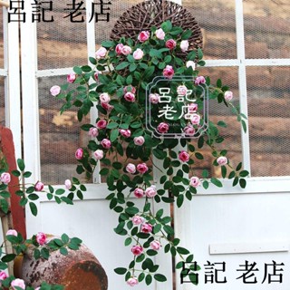 模擬玫瑰花藤 塑膠假花模擬花卉茶花 壁掛藤條 藤蔓墻壁裝飾掛籃 仿真植物 室內外掛墻裝飾