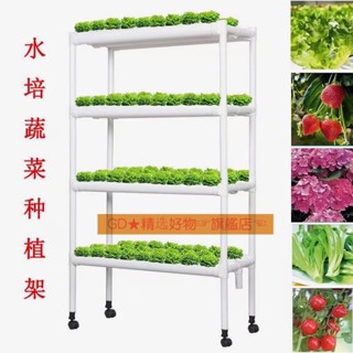 Ccˇ水耕裝置 無土栽培裝置 水培種植架 水耕種植架 種菜機 水耕機 水培蔬菜 水培機 DIY各種組合級管道 臺灣