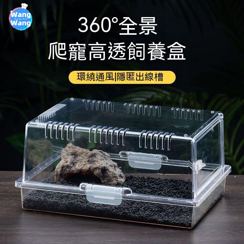 Wang Wang 防爆爬蟲爬寵多功能飼養盒飼養箱缸豹紋守宮角蛙蜥蜴龜蛇寄居