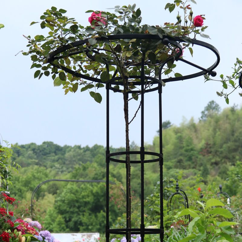 綠植支架桿戶外園藝傘形玫瑰爬藤架月季鐵線蓮攀藤蘑菇薔薇花架