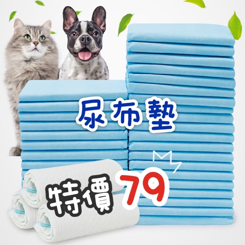 寵物尿布墊大特價79🔥台灣出貨 可超取尿布墊 寵物尿布墊 狗尿布墊 寵物尿片 隔尿墊 狗尿墊 寵物尿布 經濟款
