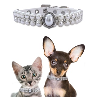 貓咪項圈 ZHOUS新款貓狗大珍珠鑽飾項圈寵物小型犬鋼絲繩串珠項圈小貓咪
