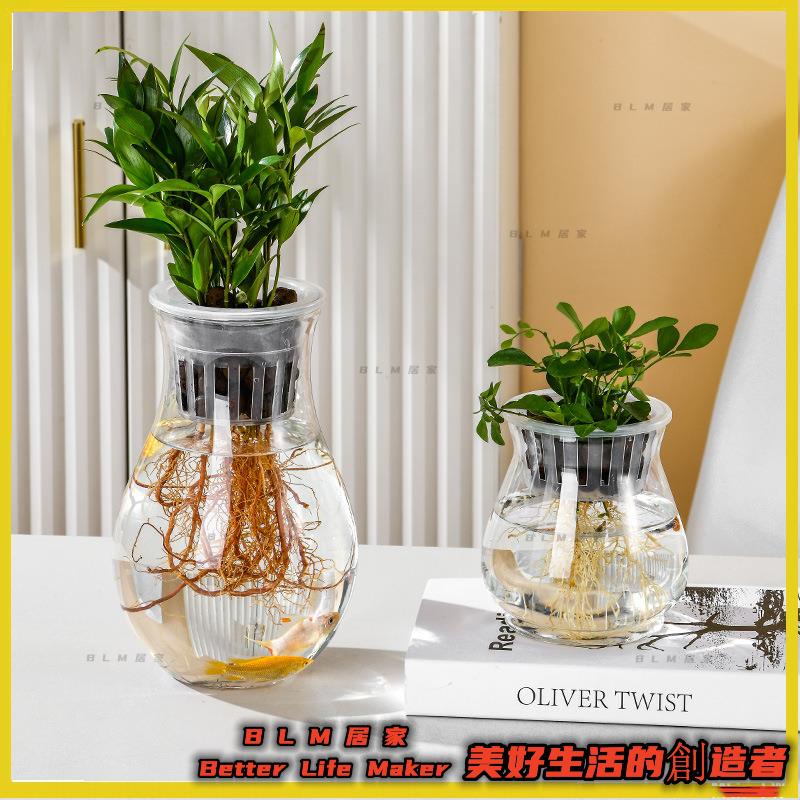 水耕瓶 水耕花器 水耕盆栽 水培植物瓶 花器 水耕籃 魚菜共生 水耕植物 居家佈置 龜背芋DIYBLM07