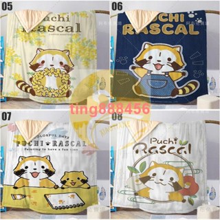 夏涼被 小浣熊涼被 小浣熊 拉斯卡爾 Puchi Rascal 夏被 空調被 卡通涼被 夏涼被 可客製