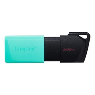 KINGSTON DTXM 32GB 64GB 128GB 256GB USB3.2 行動碟 隨身碟 鑰匙圈 保護蓋