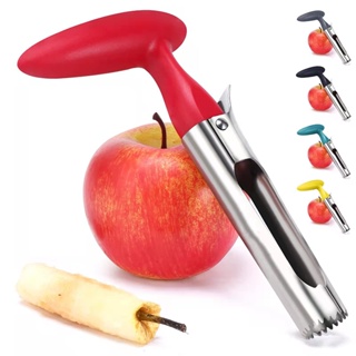 Apple Corer Tool Easy to Use and Clean Sturdy Apple Core Rem