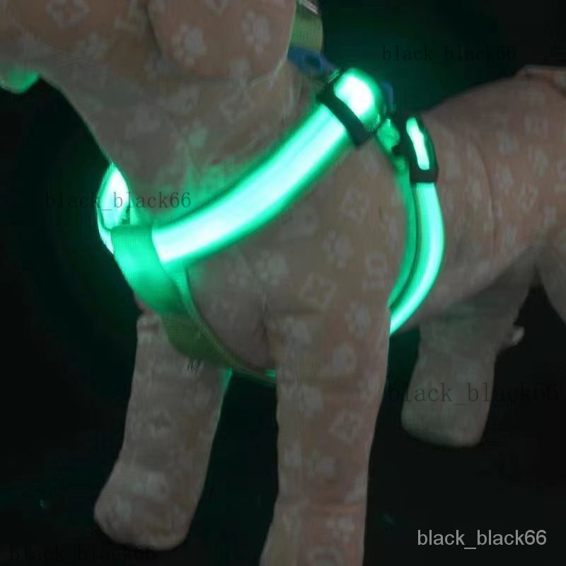 【熱銷】狗狗發光牽引繩  USB充電  背心式LED 胸背牽引繩 寵物發光狗繩  寵物用品