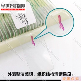 全世界💕🎁）兒童顯微鏡標本切片套裝 5-200片多種可選 生物玻片可教學使用
