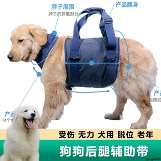 🔥台灣出貨🔥狗狗后腿輔助帶老年犬背帶疾病牽引帶助行帶走殘疾中小型保護帶 寵物用物