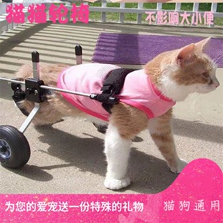 🔥現貨熱銷貓咪輪椅車癱瘓骨折寵物后腿脊椎受傷康復訓練車后肢殘疾代步推車