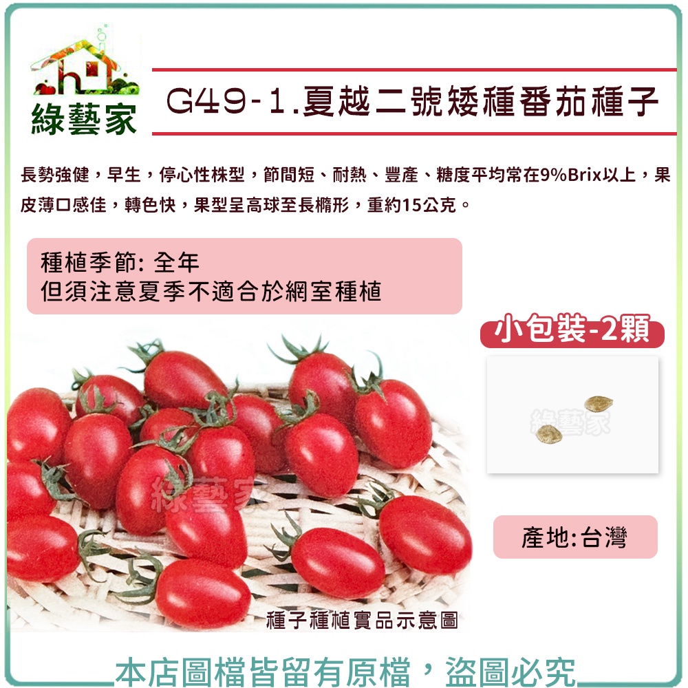 G49-1.夏越二號矮種番茄種子2顆 // 耐熱、 豐產，果皮薄，口感佳，轉色快果菜類種子【綠藝家】