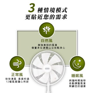 🍓禾聯CASO 14吋變頻DC風扇 省電靜音遙控電風扇 直流風扇 75海