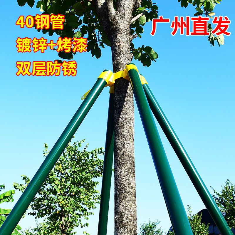 🎁🎁大樹支架綠化樹木防風工程支撐架苗木支撐桿套杯三四腳架鍍鋅鋼管