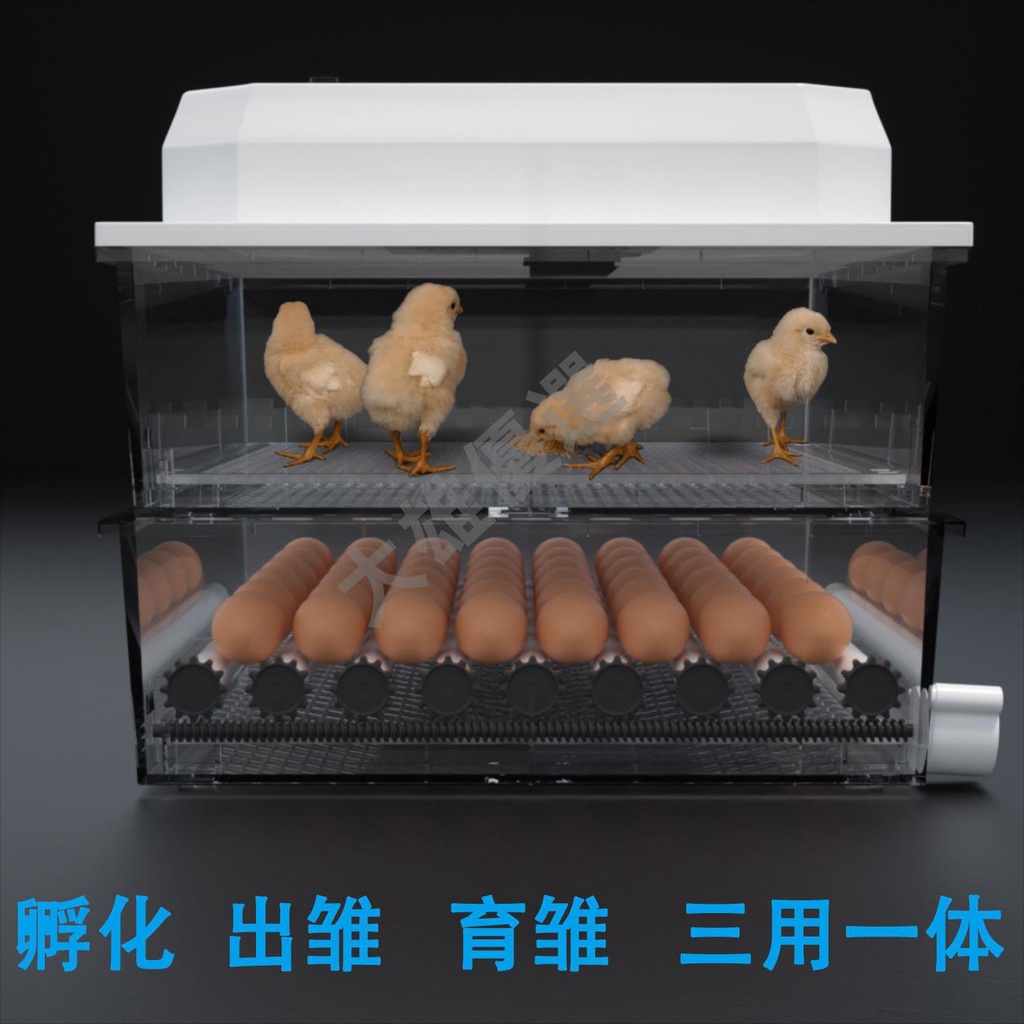 全自動孵化機家用小型小雞孵化器鴨鵝鴿子鵪鶉孵蛋器孵小雞的機器