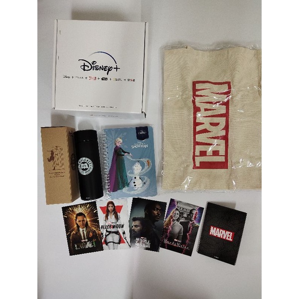 Disney+ 禮盒 迪士尼 禮包 怪獸大學保溫瓶350ml 冰雪奇緣筆記本艾莎款 Marvel明信片帆布袋