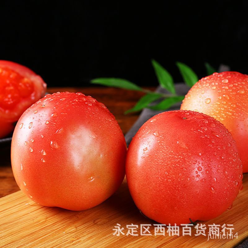 西紅柿種子小番茄聖女果紅色黃色蔬菜水果種籽香草芳香植物種子【惠農園藝】