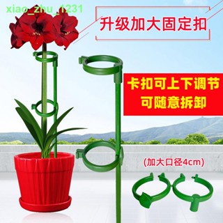 🚚免運🚚現貨∏ↂ✚園藝綁花支架防倒植物支撐桿花枝固定器花草花支撐架花卉扶正綠植