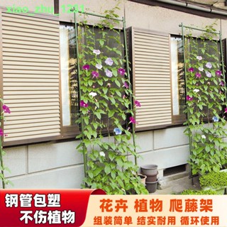 🚚免運🚚現貨☁❀✆花架爬藤支架植物爬藤架鐵線蓮月季支撐桿園藝花支架葡萄架爬藤網