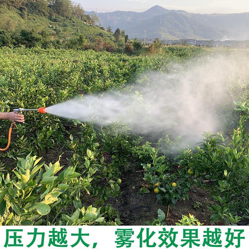打藥機噴槍農用機動噴霧器高壓水槍可調霧化直射噴霧手槍式短槍