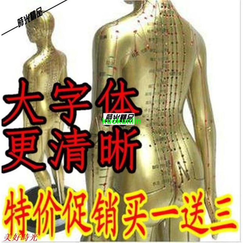 【佛緣閣】💯超清晰穴位圖經絡通男女人體模型人體經絡模型銅人針灸穴位模型、