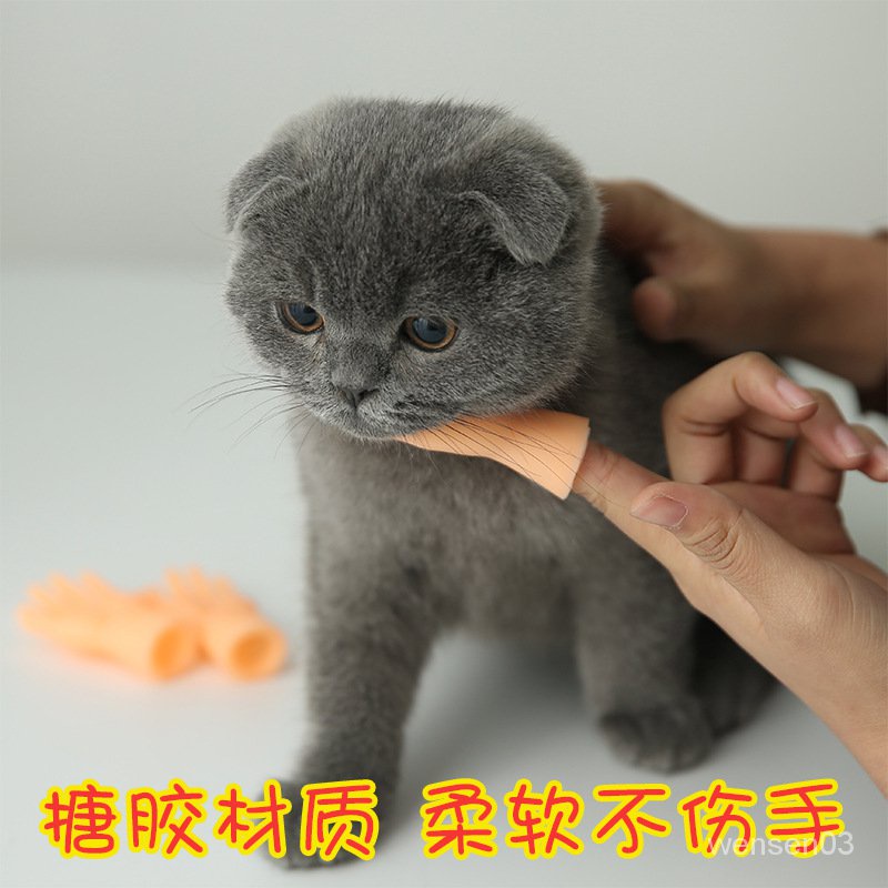 【文森寵物用品】抖音衕款寵物擼貓手指套 搞怪小手模型逗貓神器 貓咪按摩擼貓手套