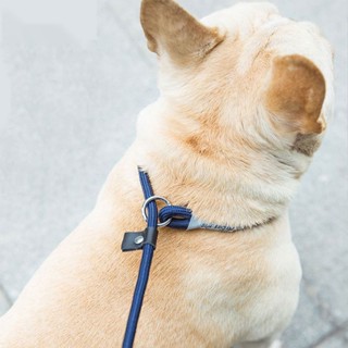 小小寵愛 狗狗牽引繩 栓溜p鏈套脖中型小型犬 防爆沖泰迪 防掙脫寵物用品批發