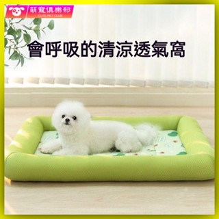 🐶🍂涼爽寵物床 寵物床墊 寵物墊 寵物睡墊 狗狗床 貓咪床 狗窩夏天涼窩四季通用貓窩墊子小中型犬泰迪博美犬專用寵物涼席窩