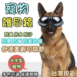 現貨免運 中大型犬寵物護目鏡 寵物眼鏡 寵物太陽眼鏡 狗眼鏡 防塵抗紫外線護眼 可折疊可調節 戶外寵物運動眼鏡 寵物用品