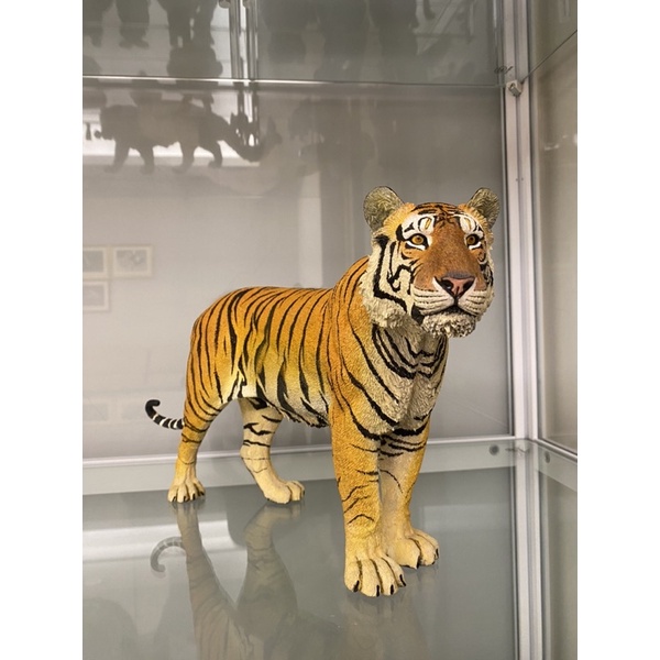 老虎 孟加拉虎 穆拉 動物模型 GK 老虎模型 公仔