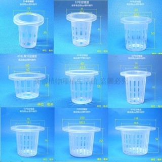 🌱新品免運🌱【附水耕教學方法】日本食品級全新PP塑膠 100個裝可混搭 無土栽培種植藍固根器 水培杯種植藍定植籃塑膠