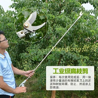 Shenglong百貨🔥不銹鋼高空修枝剪刀長桿2米1.5米1米家用強力省力粗枝園藝SK5剪刀 伸縮剪枝器 園藝工具 加長