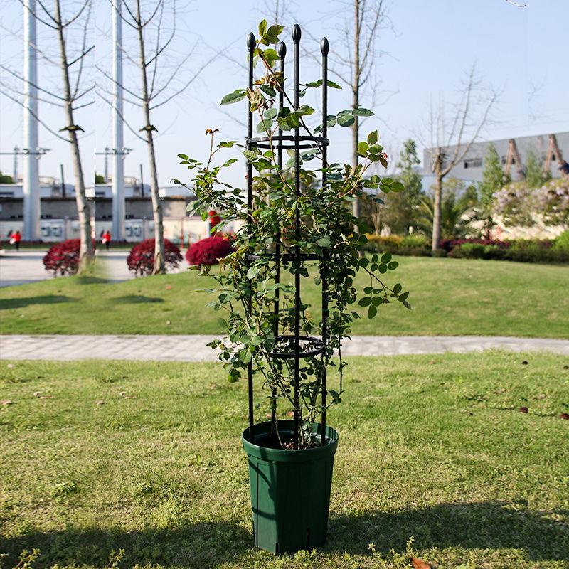 免運 傢用園藝爬藤花支架 植物爬藤架 月季鐵綫蓮攀爬組閤花架 陽臺支撐架 戶外花架 鐵線蓮藤本月季風車茉莉植物攀爬架