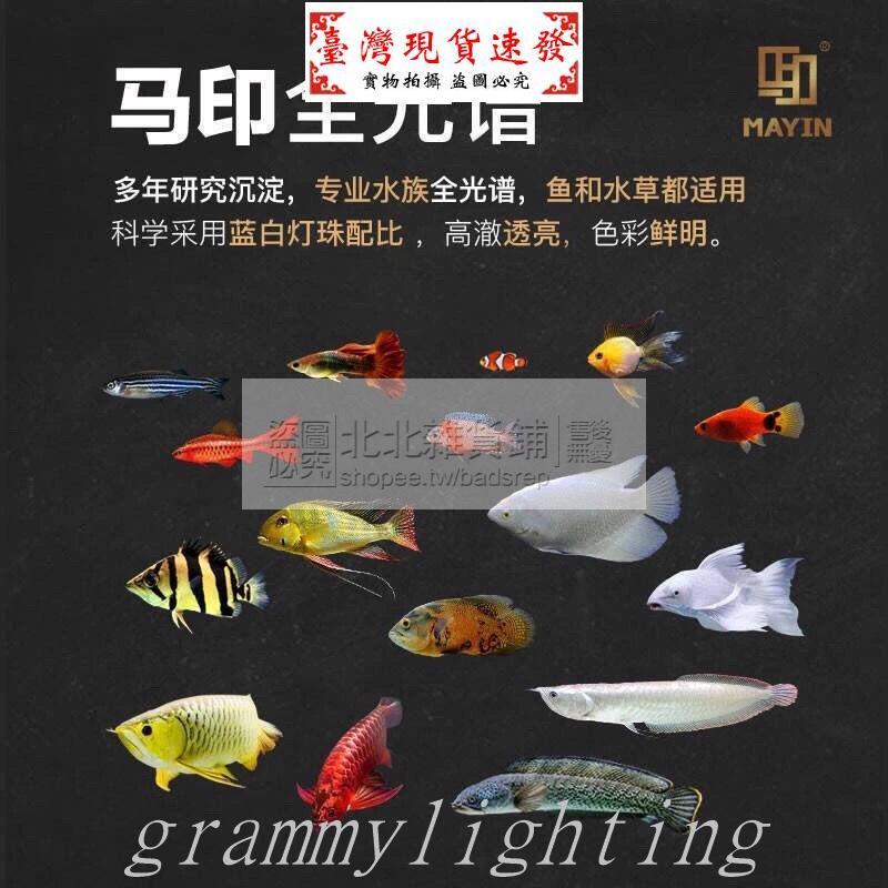 【免運】馬印燈三基色燈管龍魚燈增色水中燈魚缸燈led燈防水潛水燈