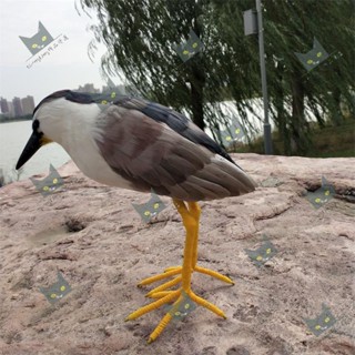 Shenglong模型/夜鷺模擬羽毛夜鷺夜遊濕地公園裝飾擺件夜鷺動物模型攝影道具