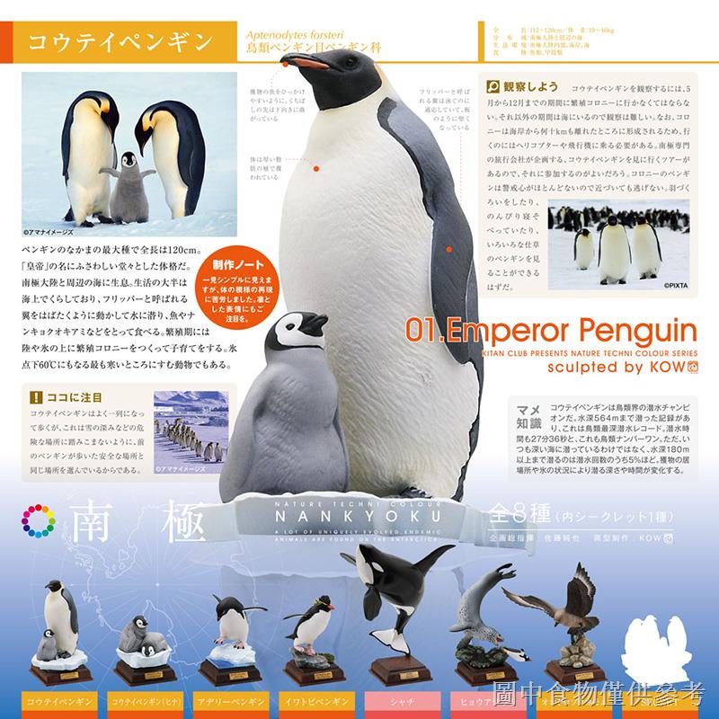 奇譚圖鑑南極大陸生命紀行的價格推薦- 2025年2月| 比價比個夠BigGo 奇譚圖鑑南極大陸生命紀行的價格推薦- 2025年2月| 比價比個夠BigGo