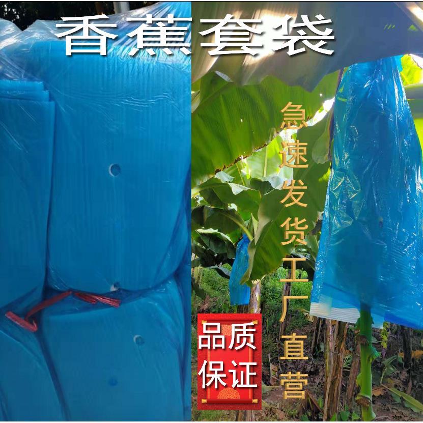 香蕉套袋藍色有孔無孔定型防蟲袋專用防寒連體袋一體袋蕉水果套袋沫沫百货