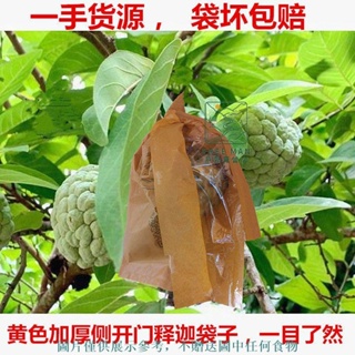 FREE MAN戶外✨100個釋迦果袋 專用釋迦果套袋 防蟲袋防鳥防蟲防雨防水袋果袋