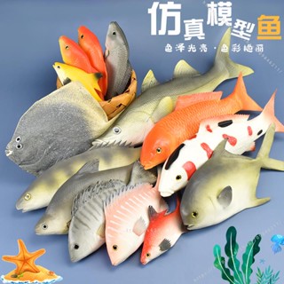 臺灣出貨🥞🥞模擬魚模型 假紅鯉魚鯽魚金槍魚熱帶魚海洋動物裝飾道具兒童玩具👑東樂の趣玩館🐣