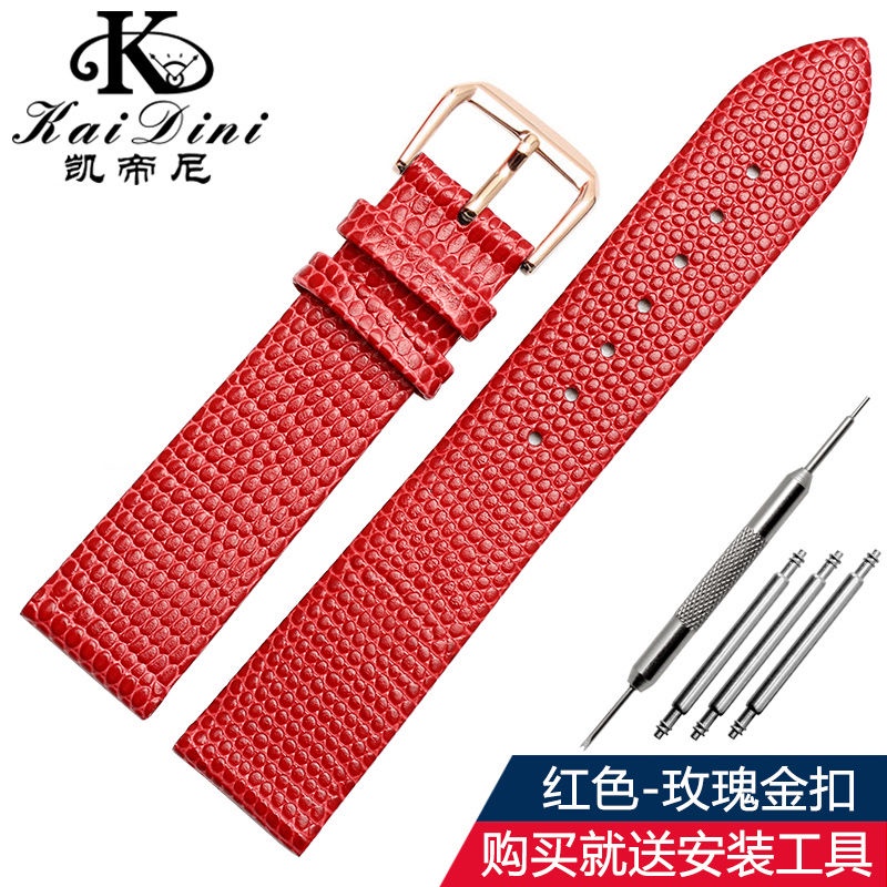台灣熱賣錶帶代用阿瑪尼Armani AR11067手表帶 蜥-蜴紋 簡約時尚女士皮表帶18mm75