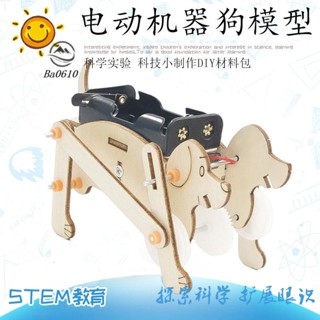🥇72H發貨🥇中小學生手工小製作電動機械狗材料包 steam教育科學實驗DIY模型